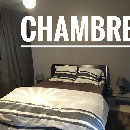 T2 L Isle D'abeau Confortable Avec Terrasse Et Garage Prive Apartment *