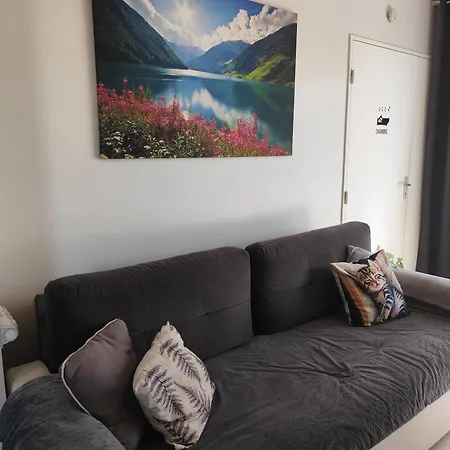 T2 L Isle D'abeau Confortable Avec Terrasse Et Garage Prive